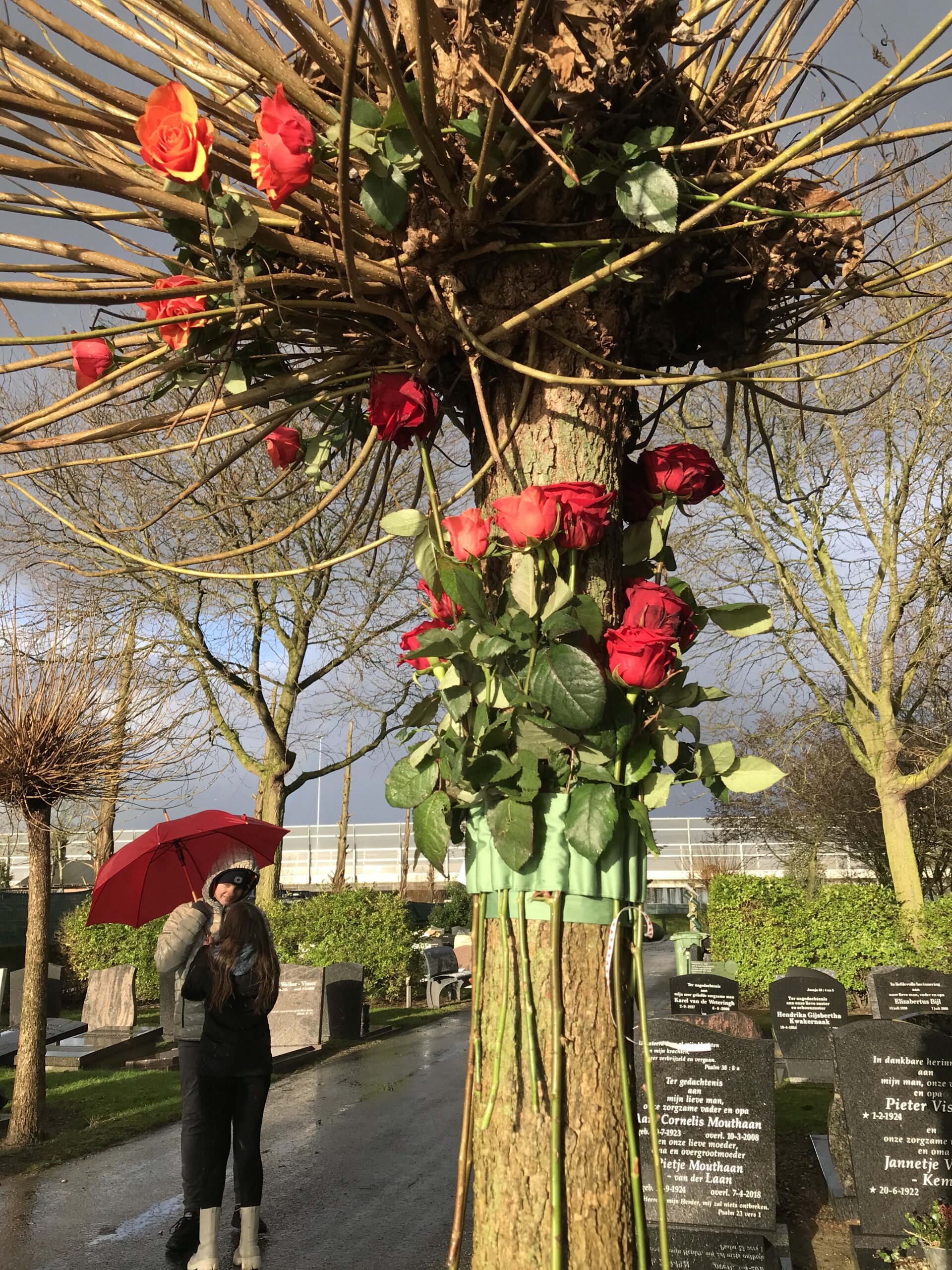 Tree Bloemenband Special at Sliedrecht Cemetery