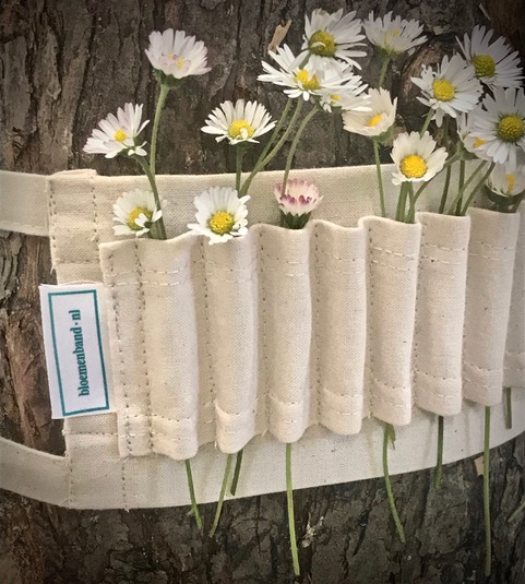 Urn band Special for daisies